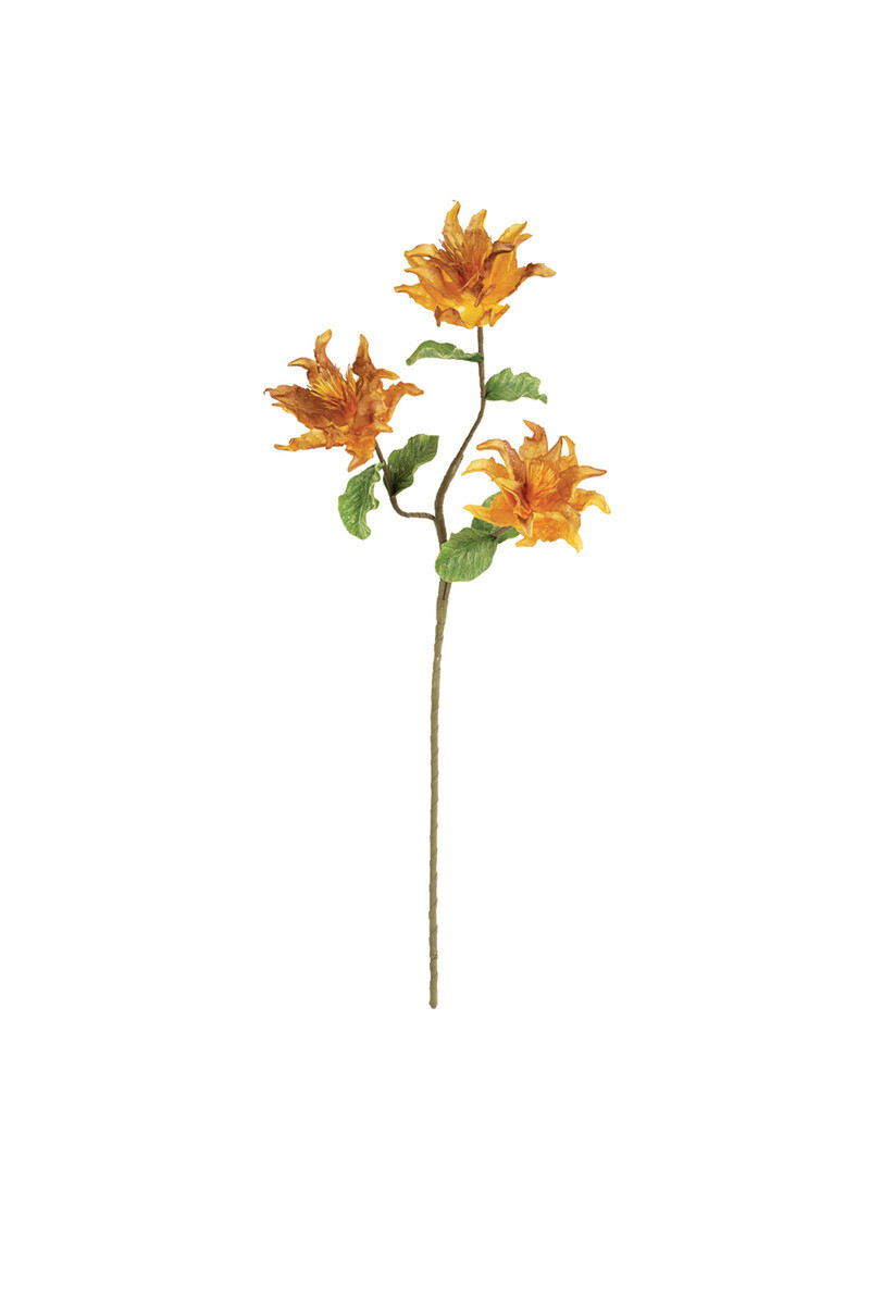 Botanica #3391