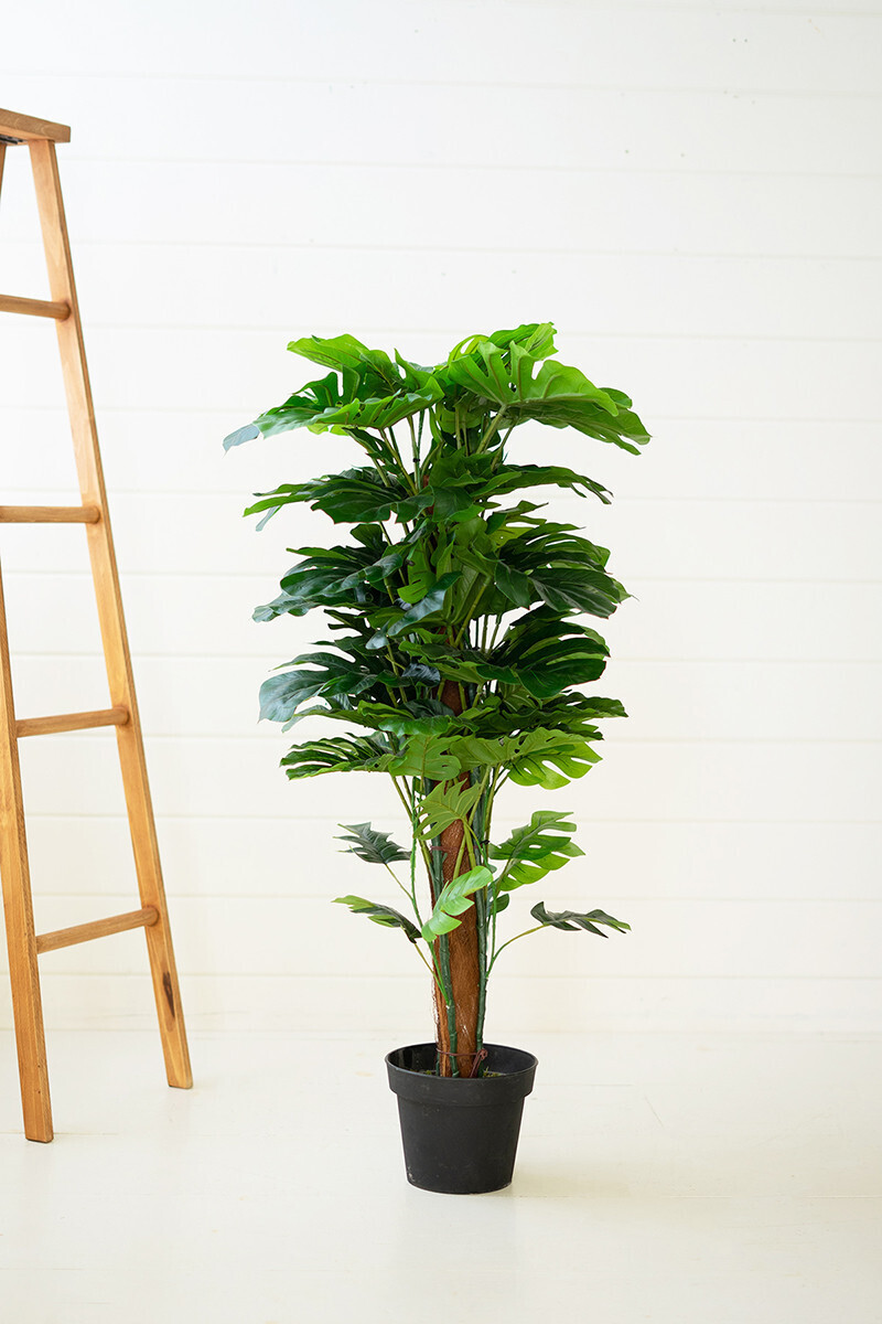 Artificial Monstera Plant in Plastic Pot-Large Artificial Monstera Plant in Plastic Pot-Large