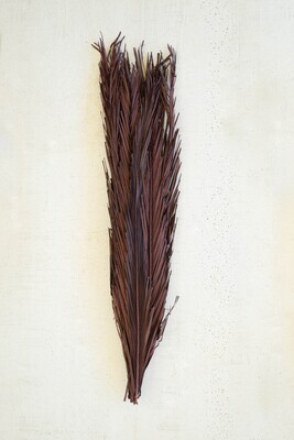 Bundle of 12 Dark Brown Khejur Leaves Bundle of 12 Dark Brown Khejur Leaves