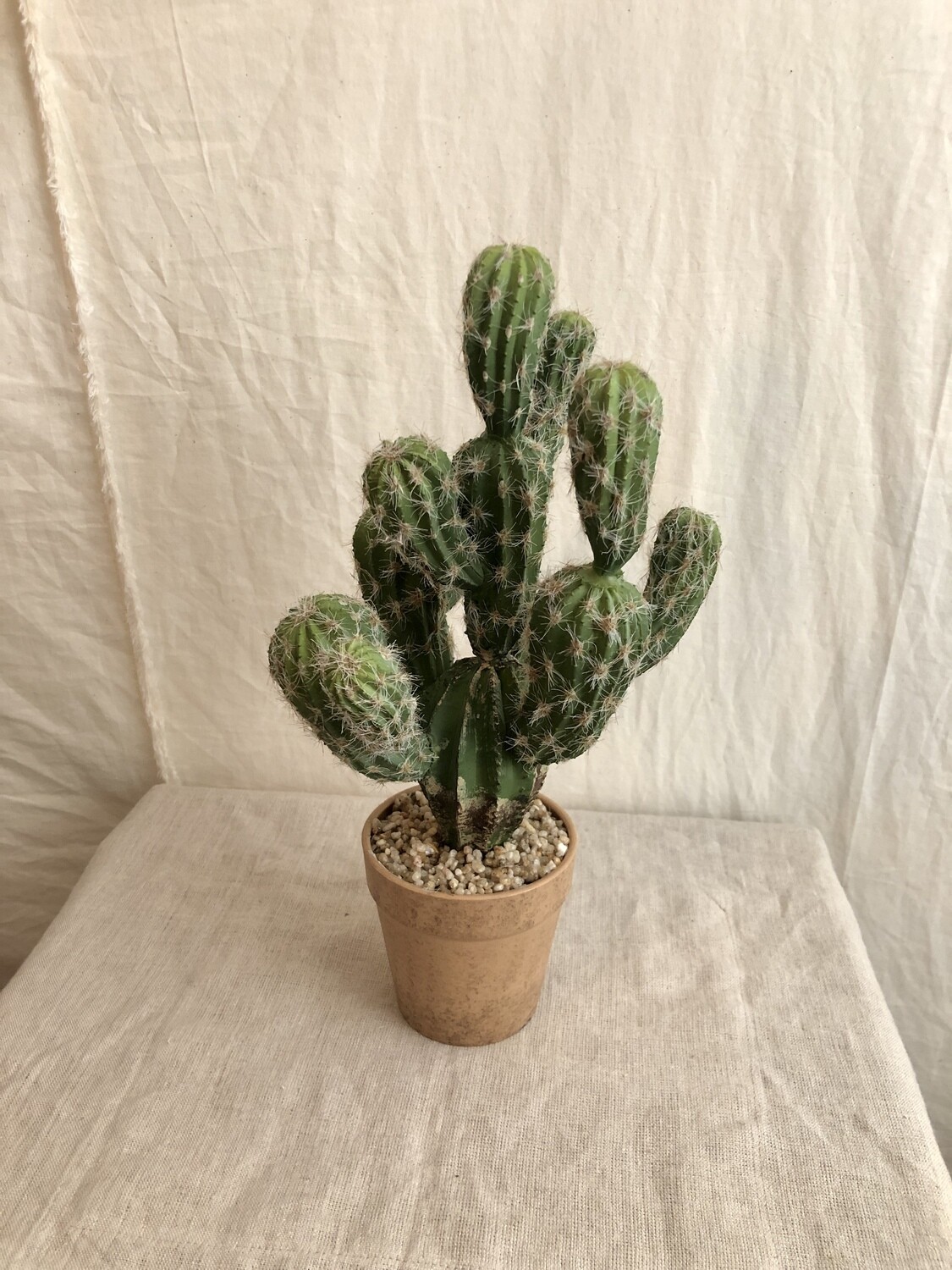 Artificial Barrel Cactus in Painted Pot Artificial Barrel Cactus in Painted Pot