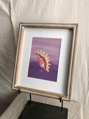 Framed Sea Shell Under Glass I