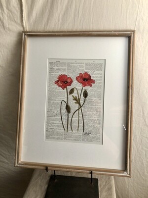 Framed Flower Print Under Glass I