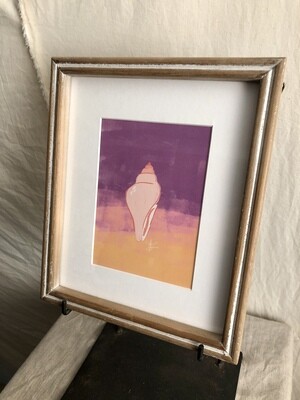 Framed Sea Shell Under Glass V Framed Sea Shell Under Glass V