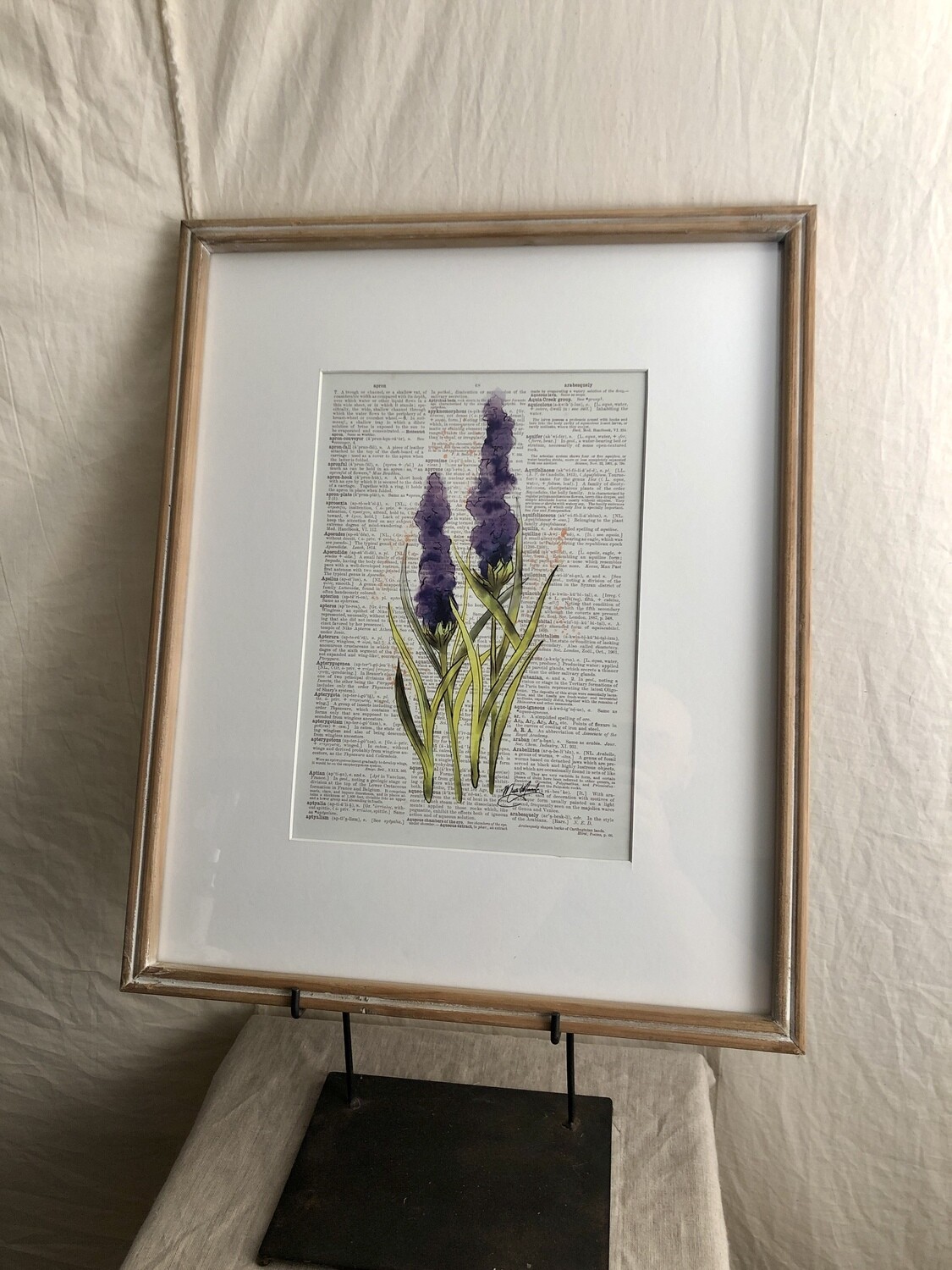 Framed Flower Print Under Glass II