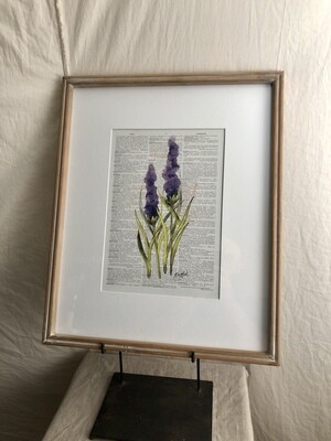 Framed Flower Print Under Glass II