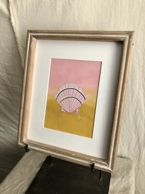 Framed Sea Shell Under Glass IV
