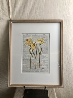 Framed Flower Print Under Glass III