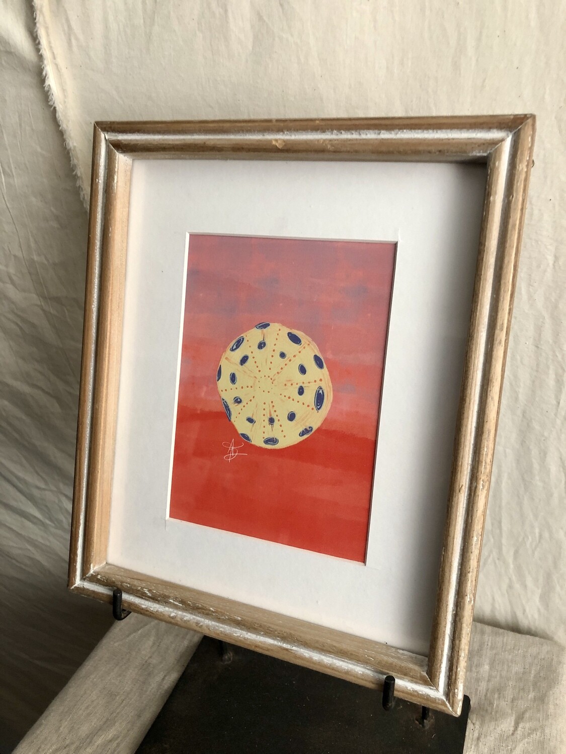 Framed Sea Shell Under Glass VI