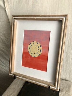 Framed Sea Shell Under Glass VI