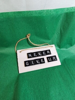 Never Give Up Medium Wall Plaque 6&quot;L x 3.5&quot;H