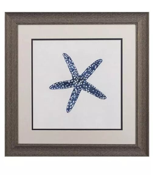 Indigo Shells BB - 19&quot; x 19&quot;T