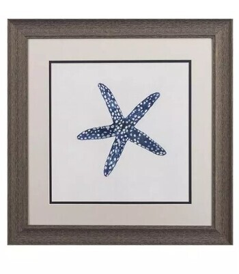 Indigo Shells BB - 19&quot; x 19&quot;T