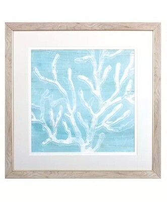 Sea Coral A - 27&quot; x 27&quot;T