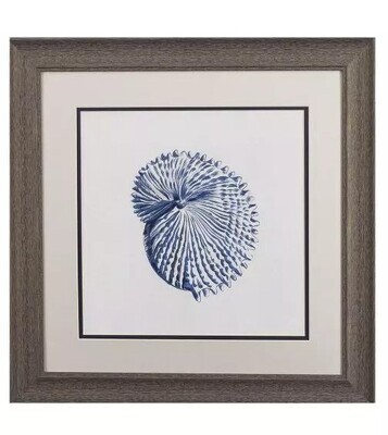 Indigo Shells BA - 19&quot; x 19&quot;T