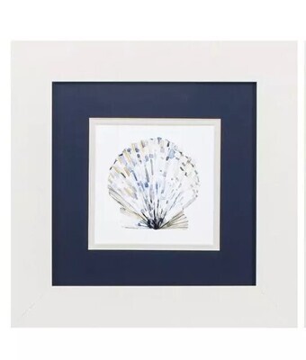 Simple Shells A - 13&quot; x 13&quot;T
