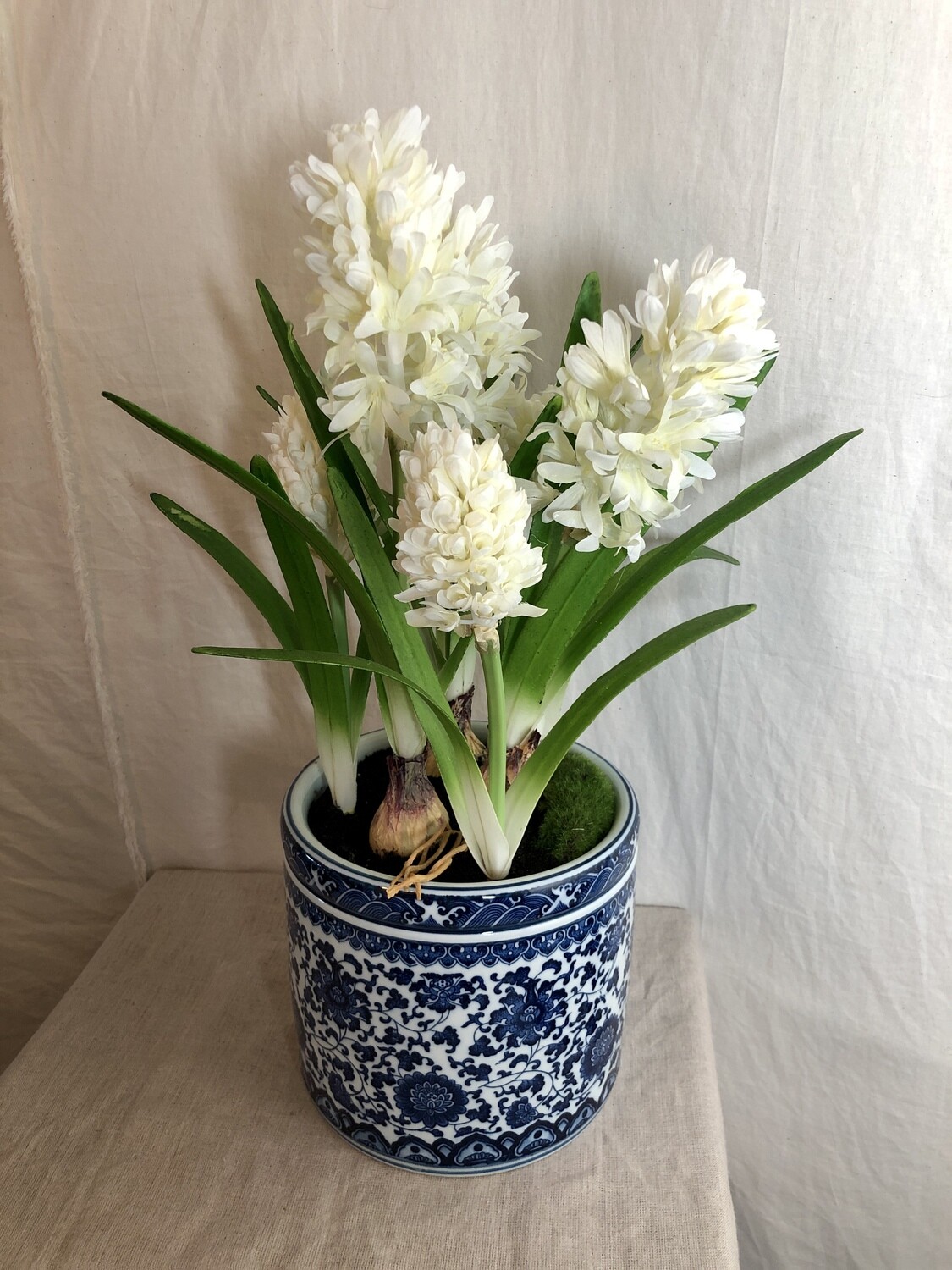 Hyacinth in Ceramic Vase 20"