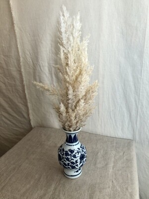 Pampas Grass in Ceramic Vase 16&quot;