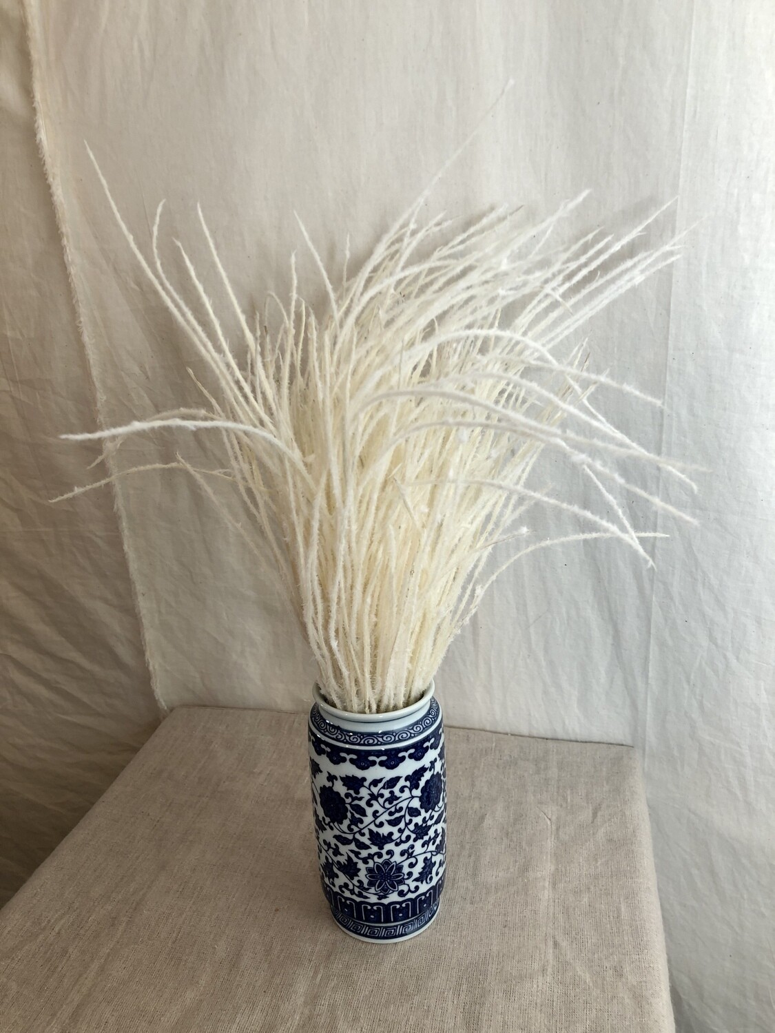 Reed Grass in Ceramic Vase 19.5"