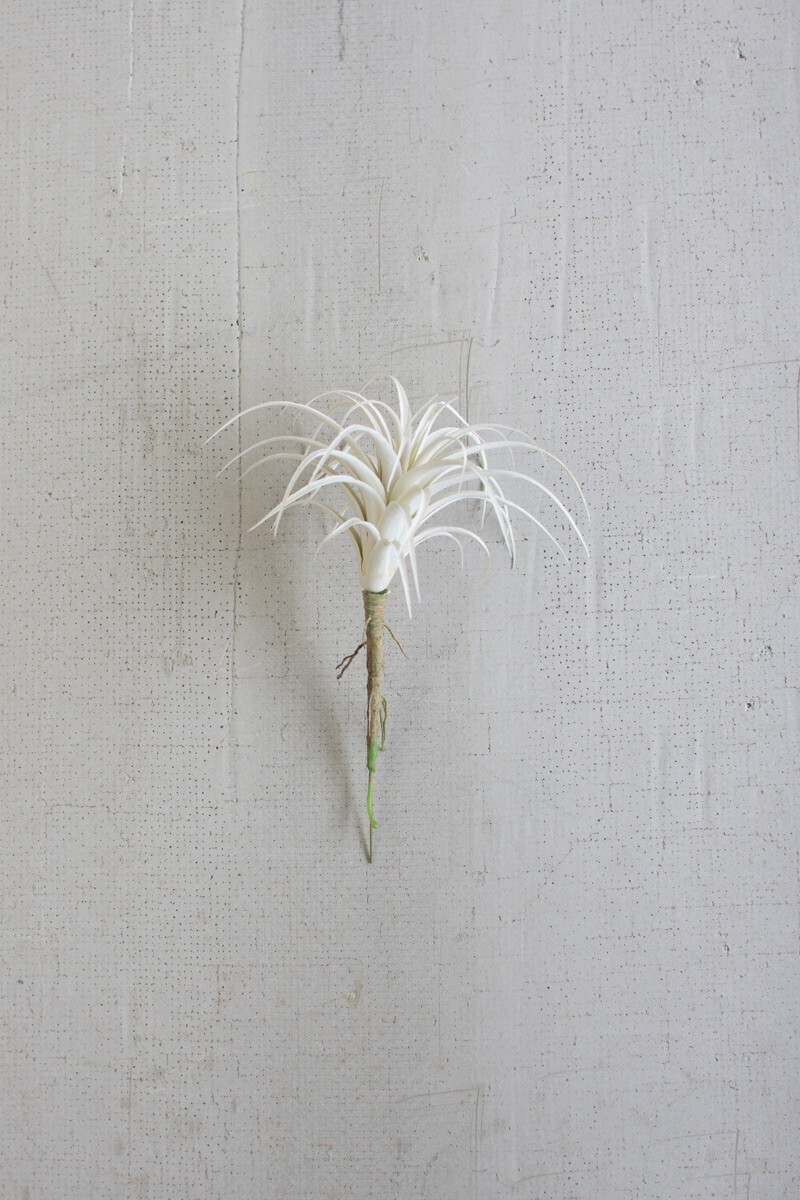 White Air Plant Small White Air Plant Small