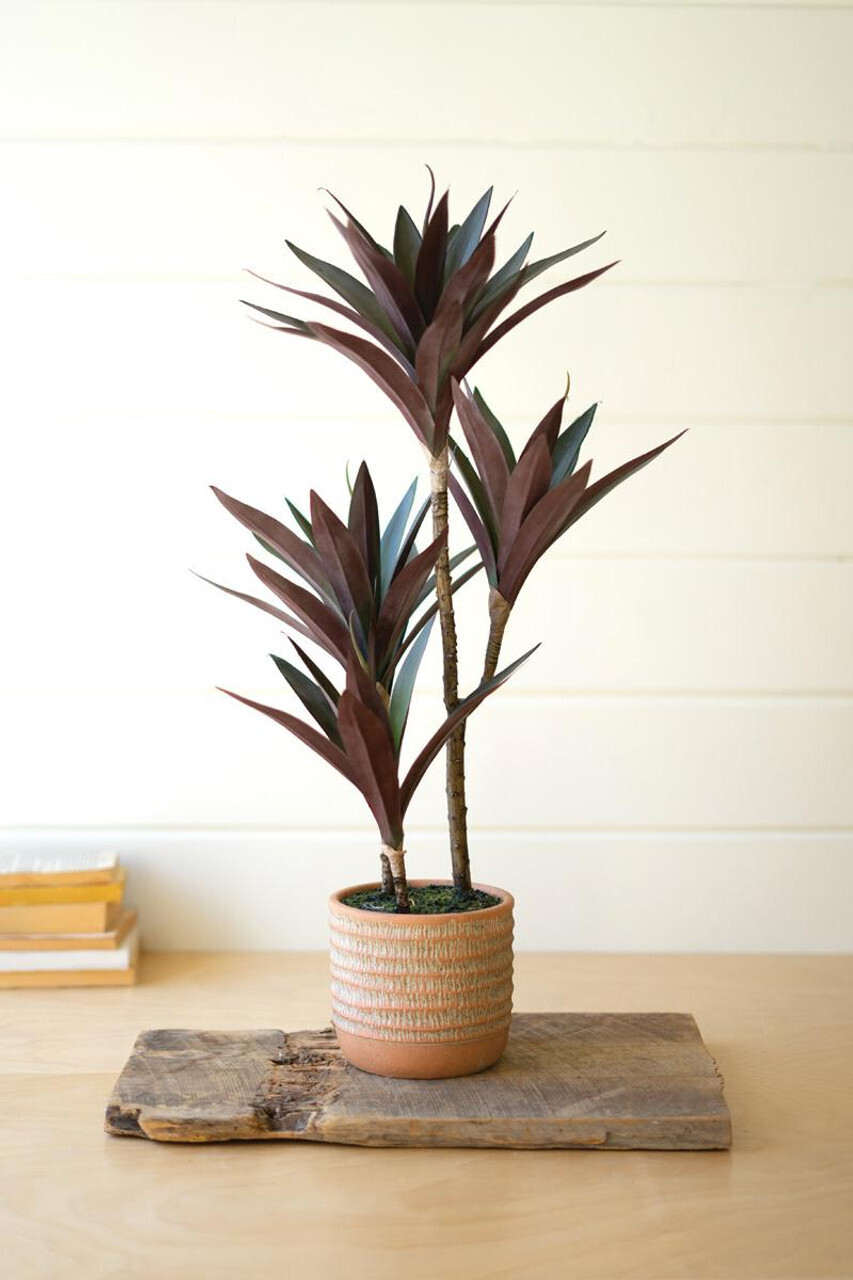 Artificial Yucca Plant w/Cement Pot Artificial Yucca Plant w/Cement Pot