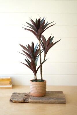 Artificial Yucca Plant w/Cement Pot