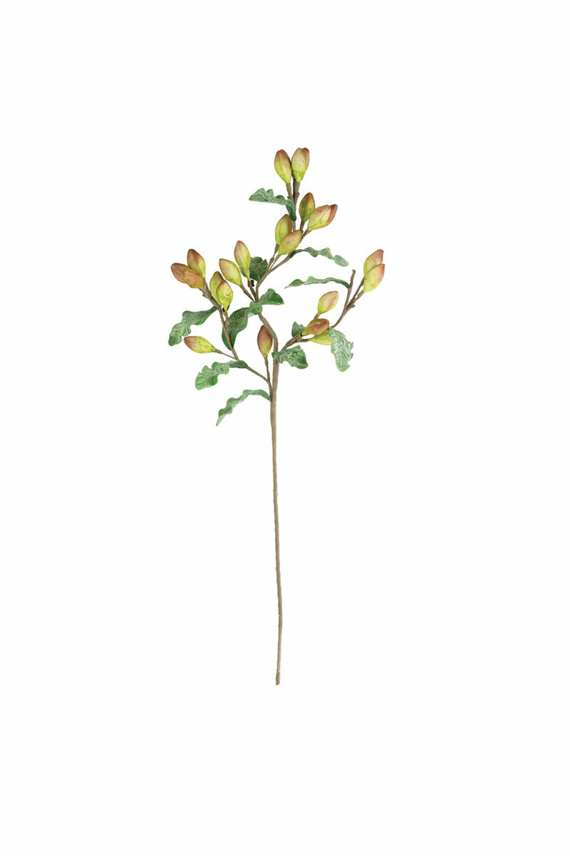 Botanica #3361 Botanica #3361