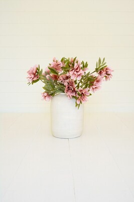 Botanica #3456