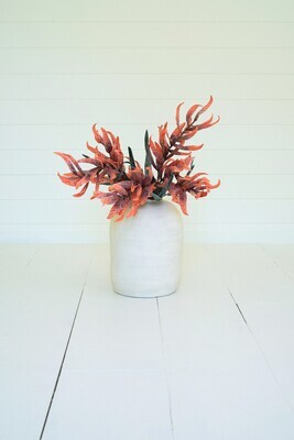 Botanica #3477 Botanica #3477