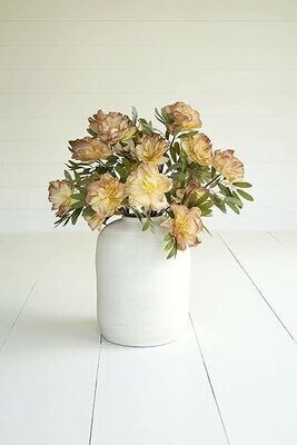 Botanica #3483