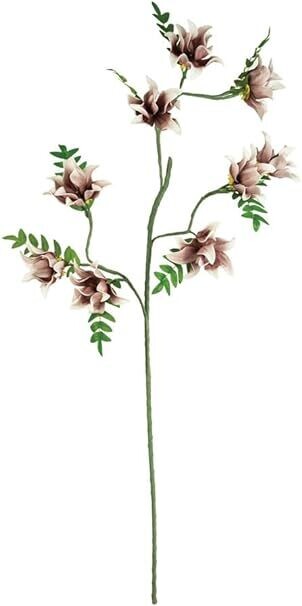 Botanica #3490 Botanica #3490