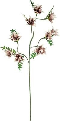 Botanica #3490 Botanica #3490