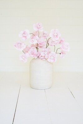 Botanica #2684