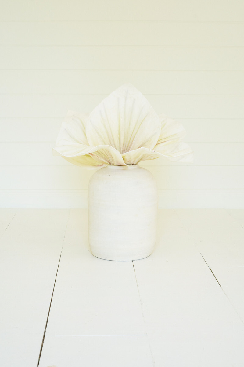 Botanica #2691 Botanica #2691