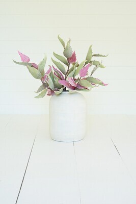 Botanica #2702 Botanica #2702