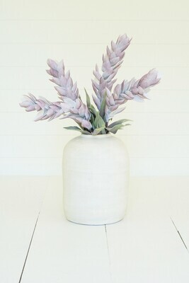 Botanica #2711