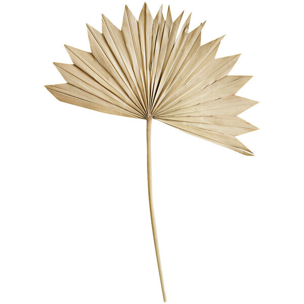 Large Natural Sun Palm Spear Large Natural Sun Palm Spear