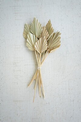 Bundle of Mini Palm Spears Bundle of Mini Palm Spears