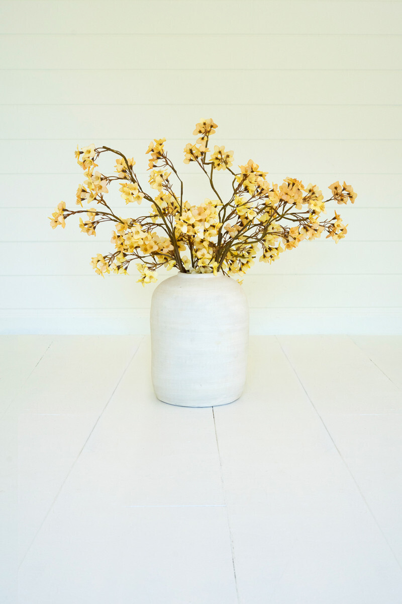 Botanica #3465