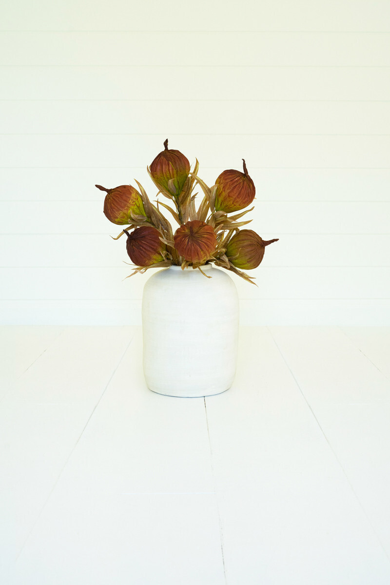 Botanica #3455 Botanica #3455