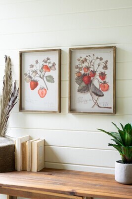 Framed Strawberry Print Under Glass I