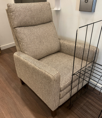 Ibrahim Fabric Push Back Recliner