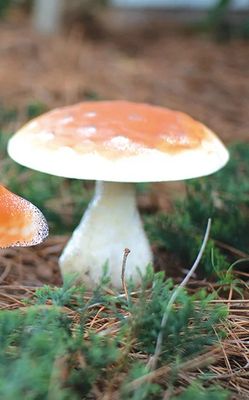 Painted Metal Mushroom Plant Stake Lg