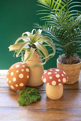 Clay Mushroom Canister Sm