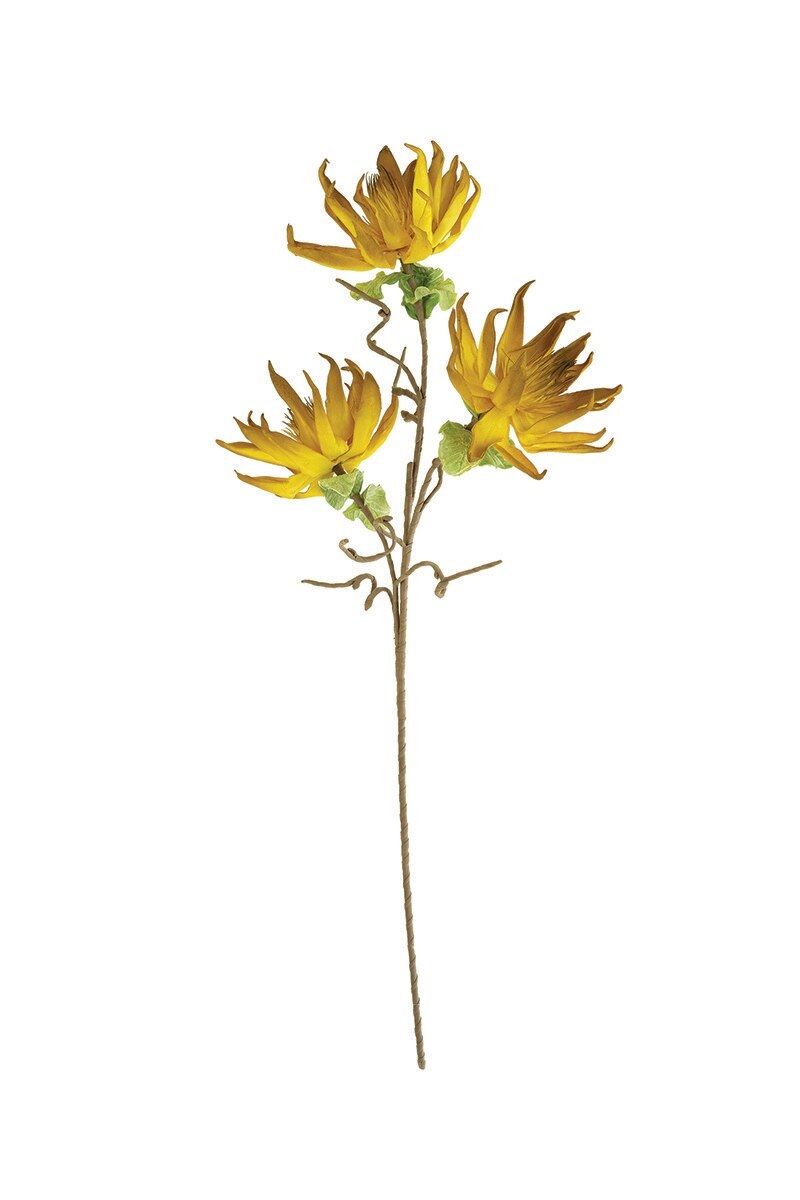 Botanica #3251 Botanica #3251