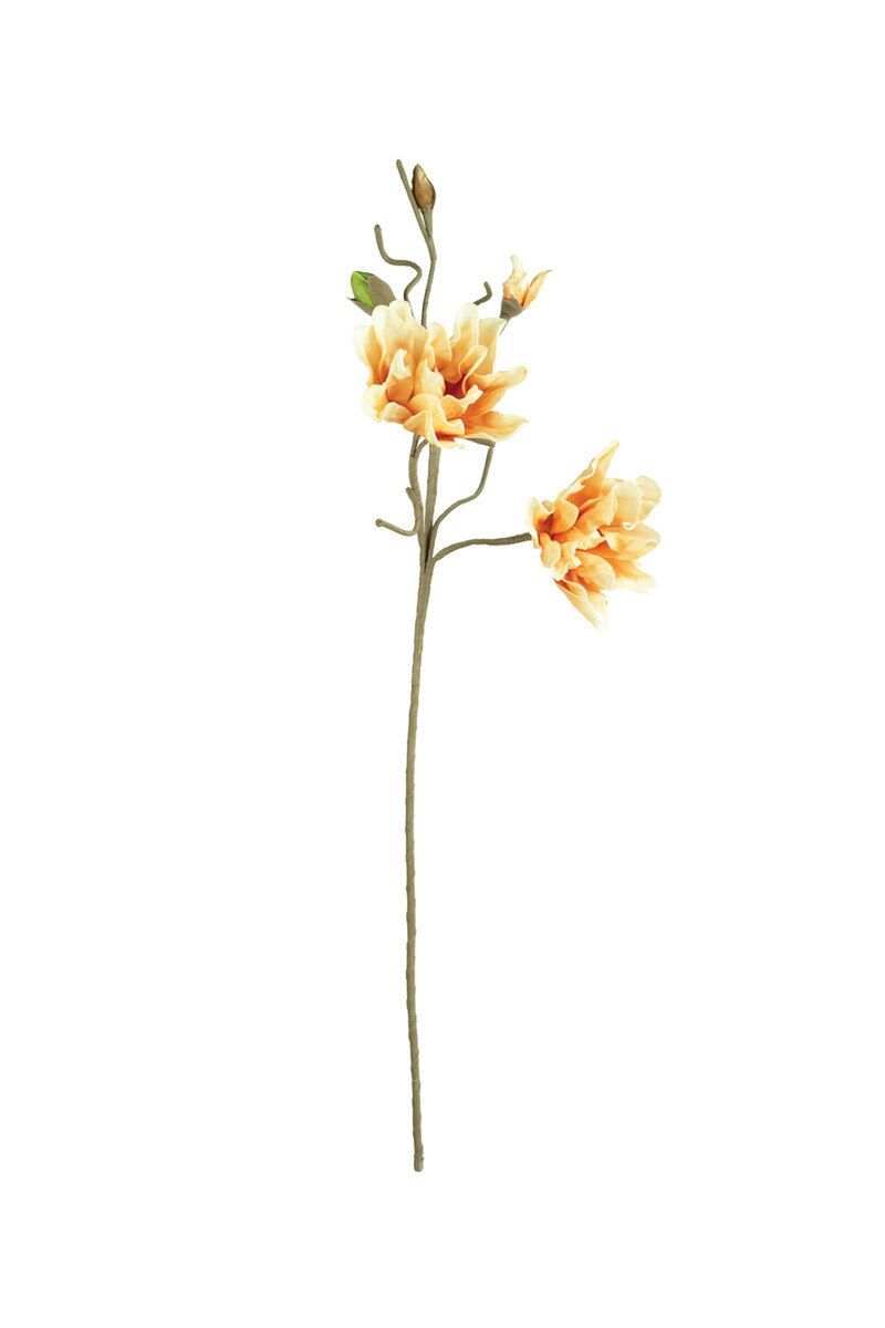 Botanica #3471
