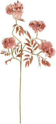 Botanica #3487 Botanica #3487