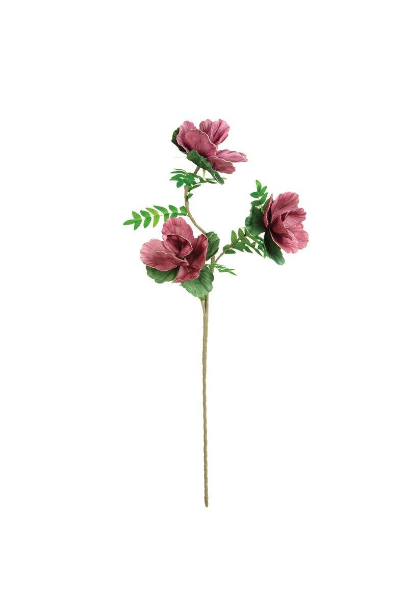 Botanica #3479 Botanica #3479