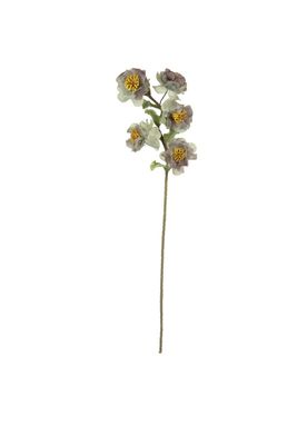 Botanica #3423 Botanica #3423