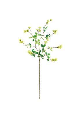 Botanica #3474 Botanica #3474