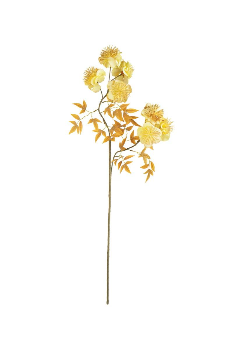 Botanica #3488 Botanica #3488
